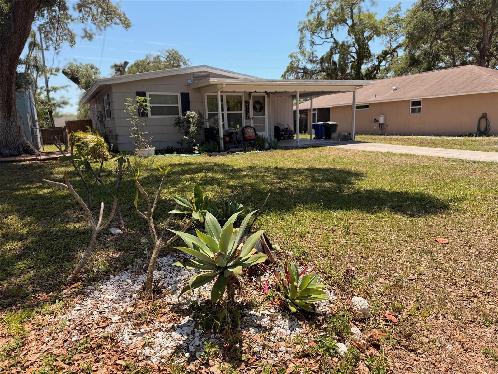 519 NORFOLK ST, DUNEDIN, FL, 34698