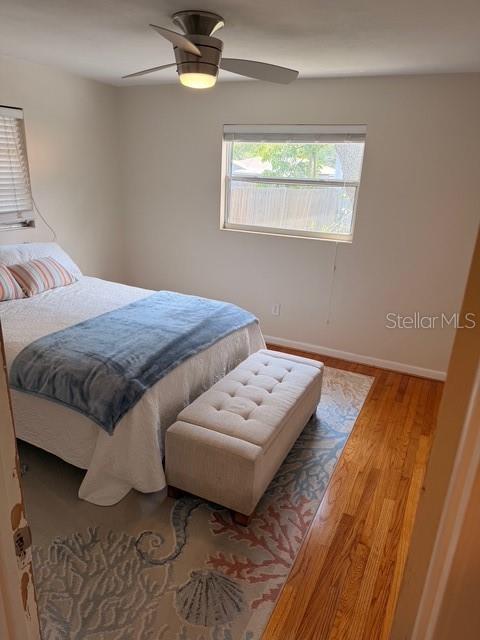 519 NORFOLK ST, DUNEDIN, FL, 34698