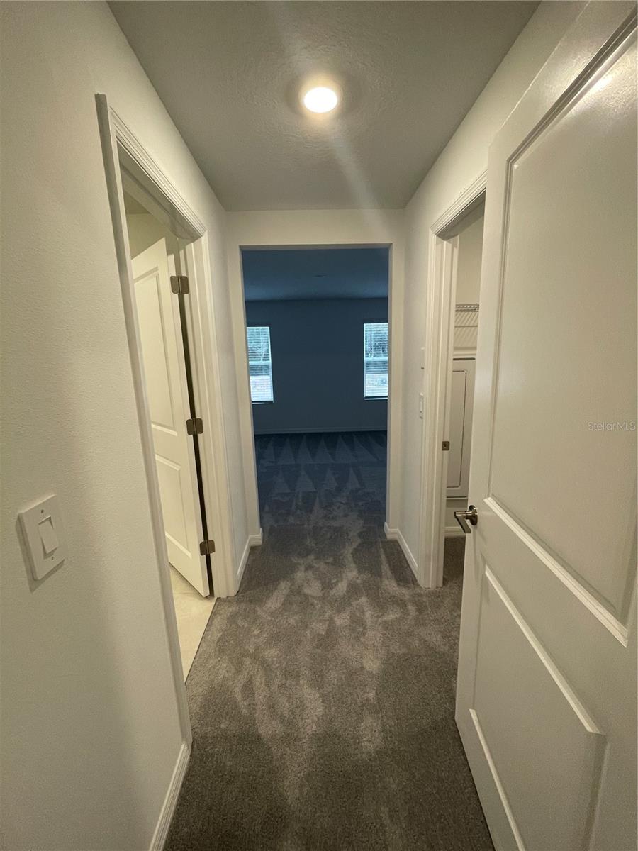 10114 HONEY HAMMOCK WAY, SAN ANTONIO, FL, 33576