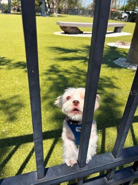 581 ROUNTREE DR, LONGBOAT KEY, FL, 34228