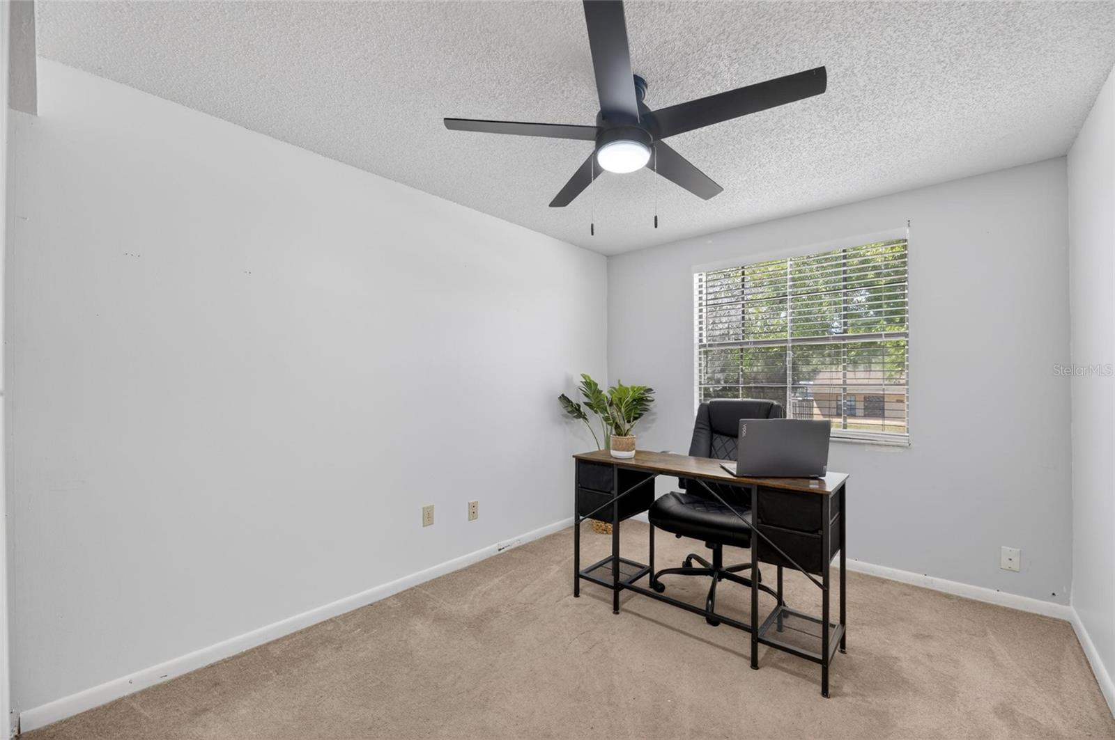 6609 JENNIFER DR, TEMPLE TERRACE, FL, 33617