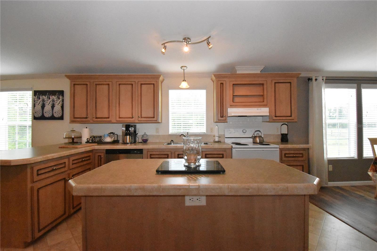 11804 SE COUNTY ROAD 234, MICANOPY, FL, 32667