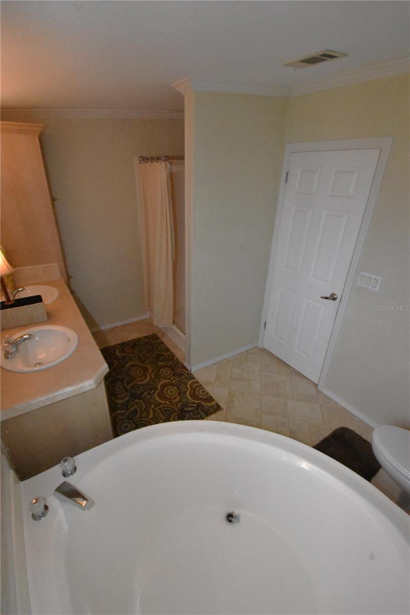 11804 SE COUNTY ROAD 234, MICANOPY, FL, 32667