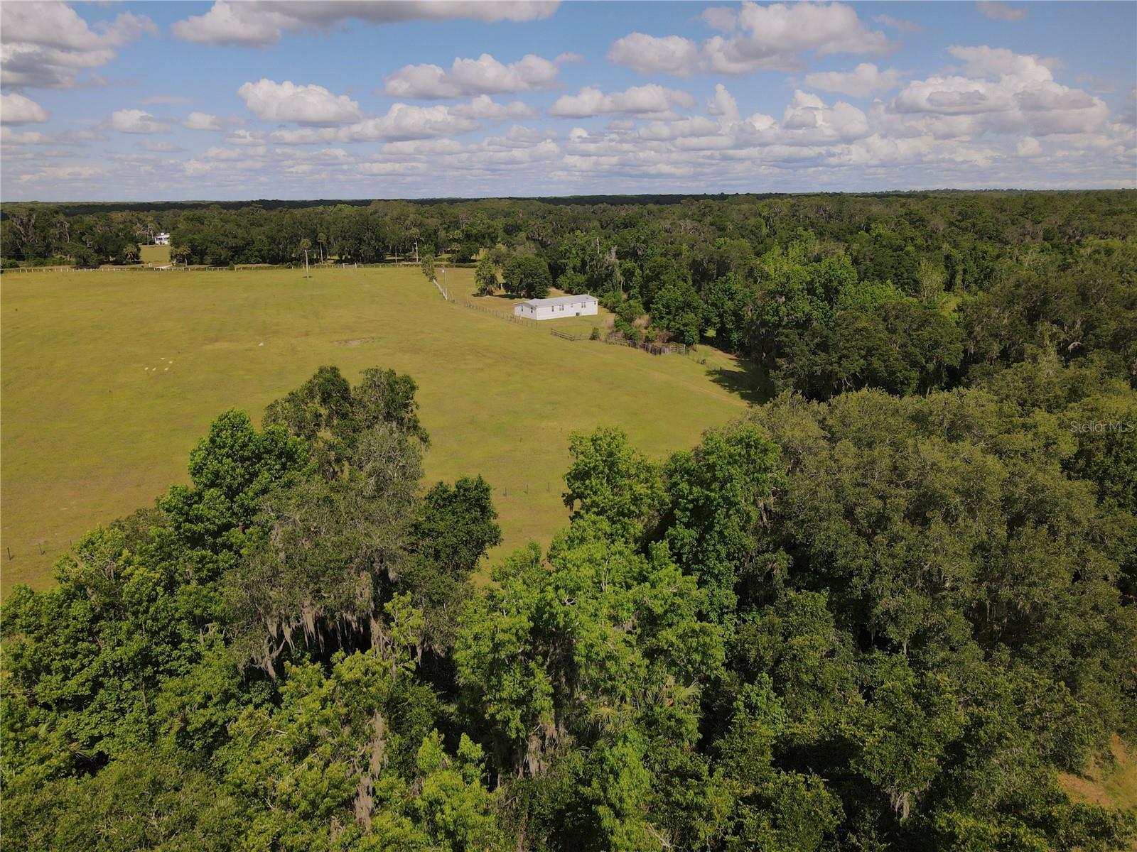 11804 SE COUNTY ROAD 234, MICANOPY, FL, 32667