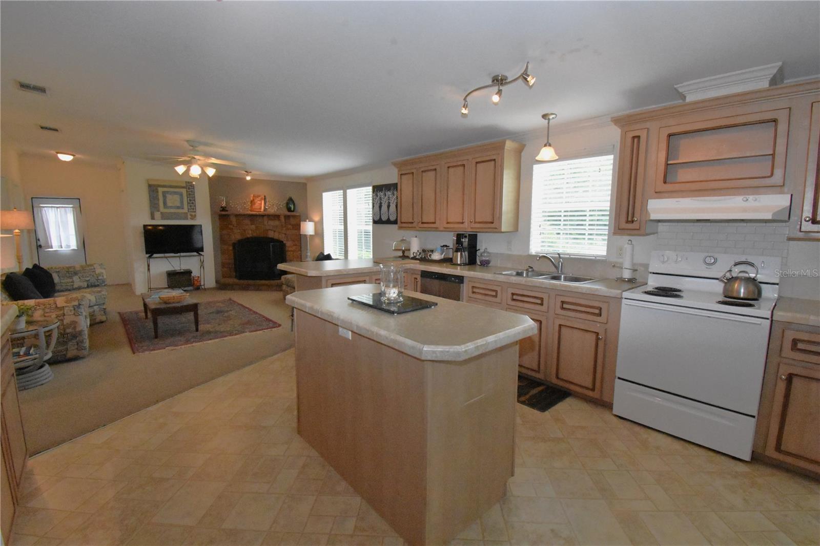 11804 SE COUNTY ROAD 234, MICANOPY, FL, 32667