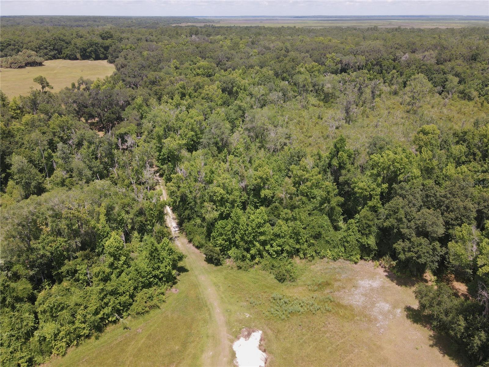 11804 SE COUNTY ROAD 234, MICANOPY, FL, 32667