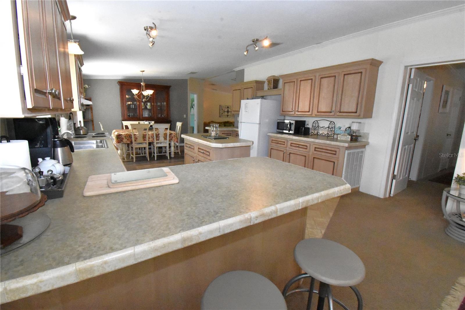 11804 SE COUNTY ROAD 234, MICANOPY, FL, 32667