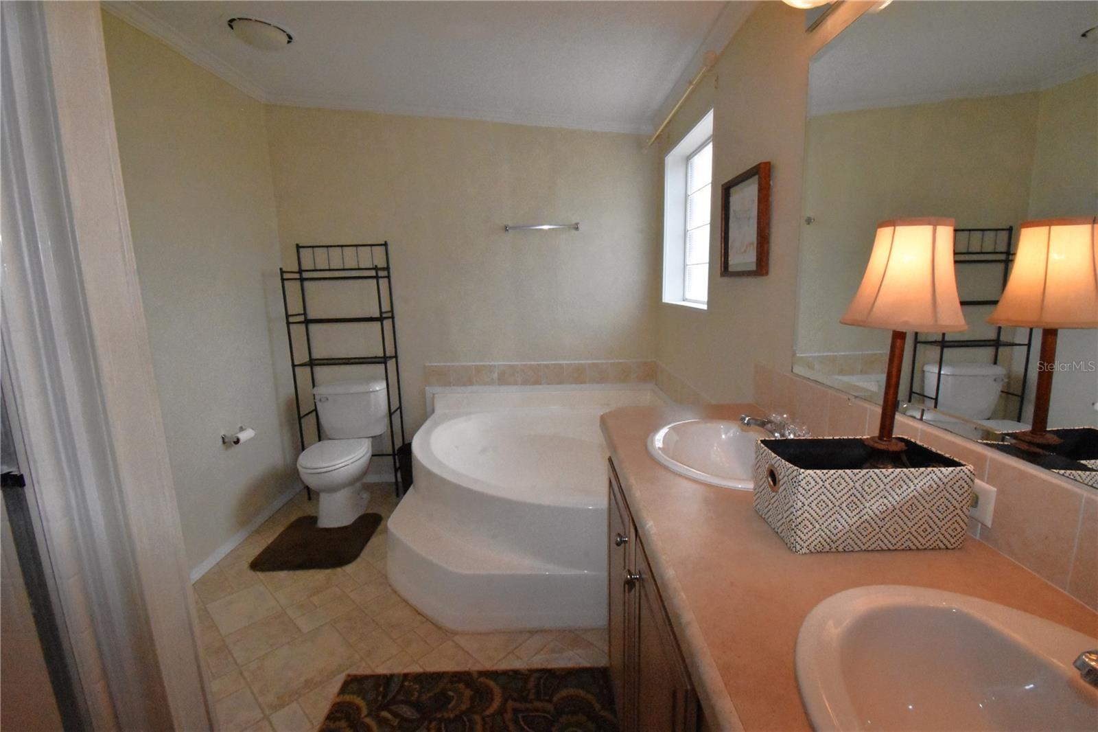 11804 SE COUNTY ROAD 234, MICANOPY, FL, 32667