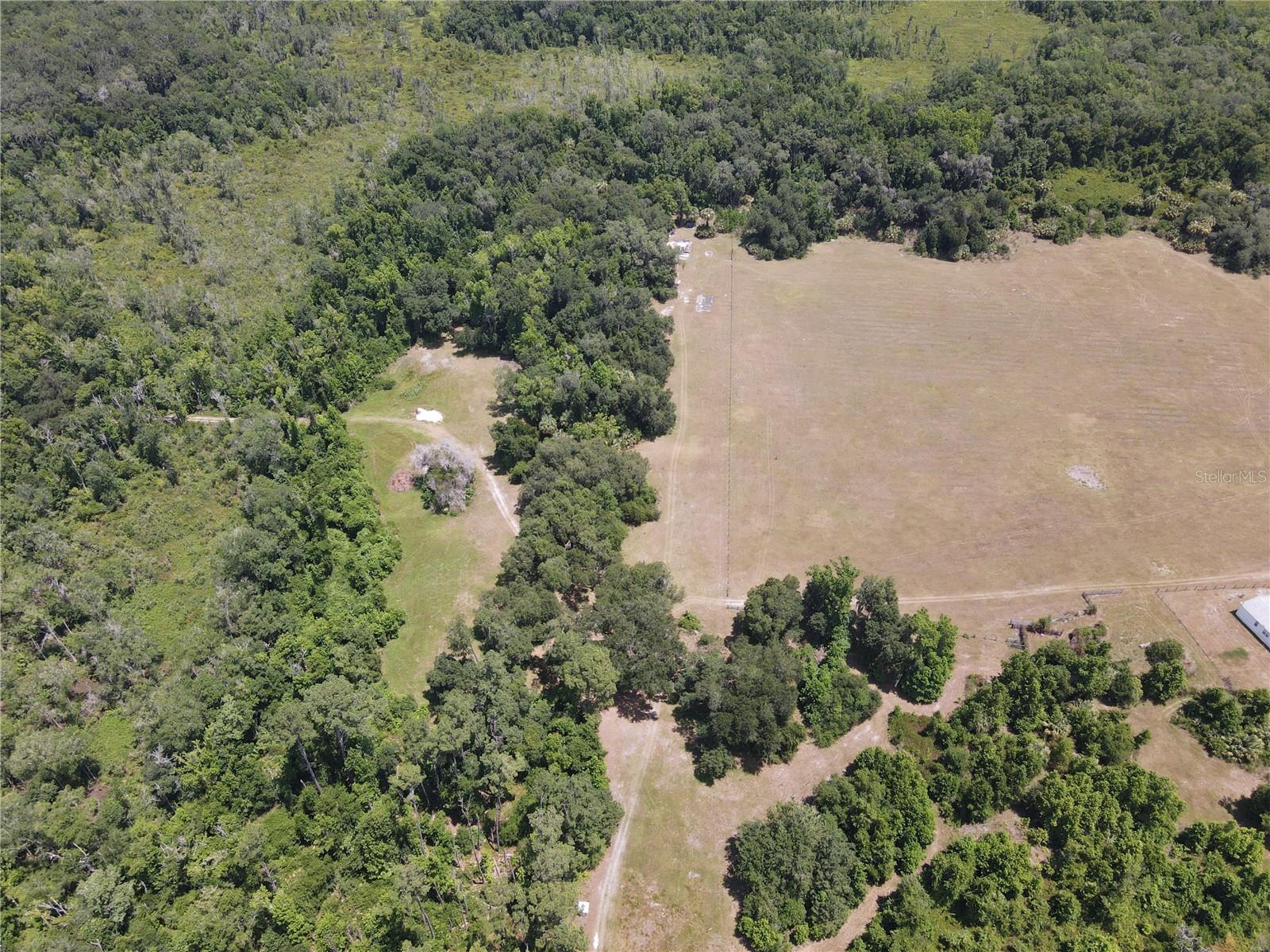 11804 SE COUNTY ROAD 234, MICANOPY, FL, 32667