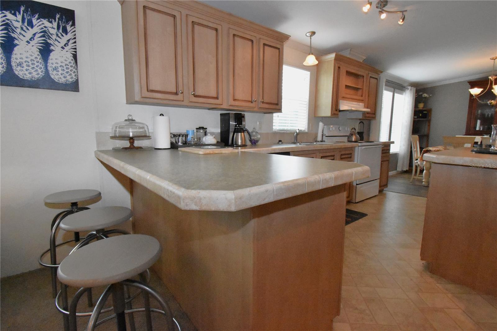 11804 SE COUNTY ROAD 234, MICANOPY, FL, 32667