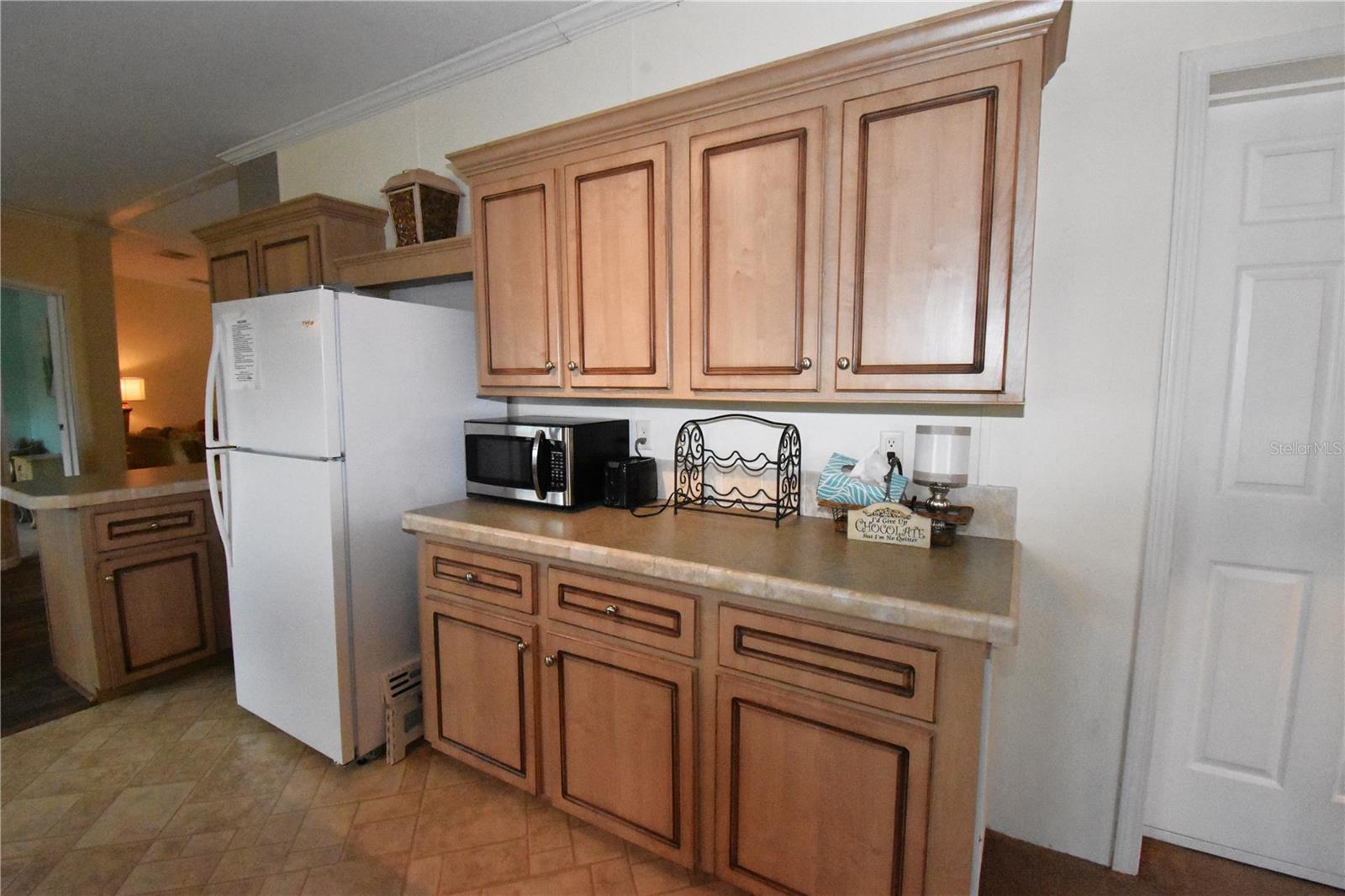 11804 SE COUNTY ROAD 234, MICANOPY, FL, 32667