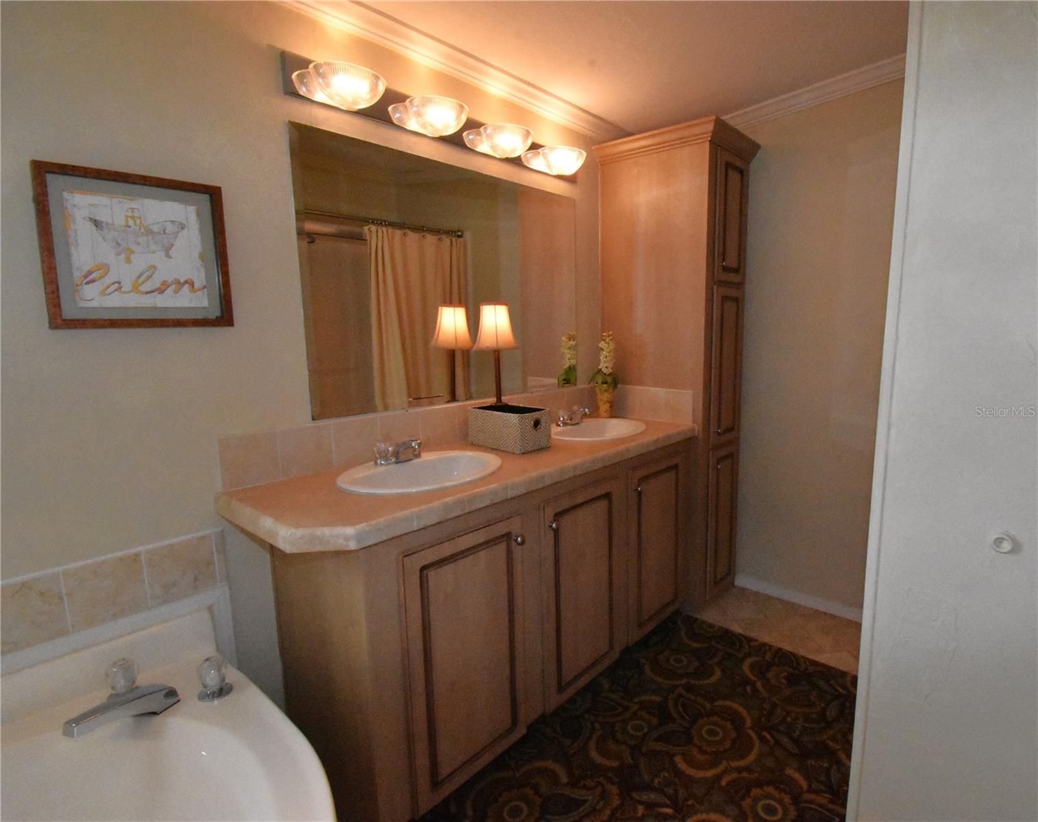 11804 SE COUNTY ROAD 234, MICANOPY, FL, 32667