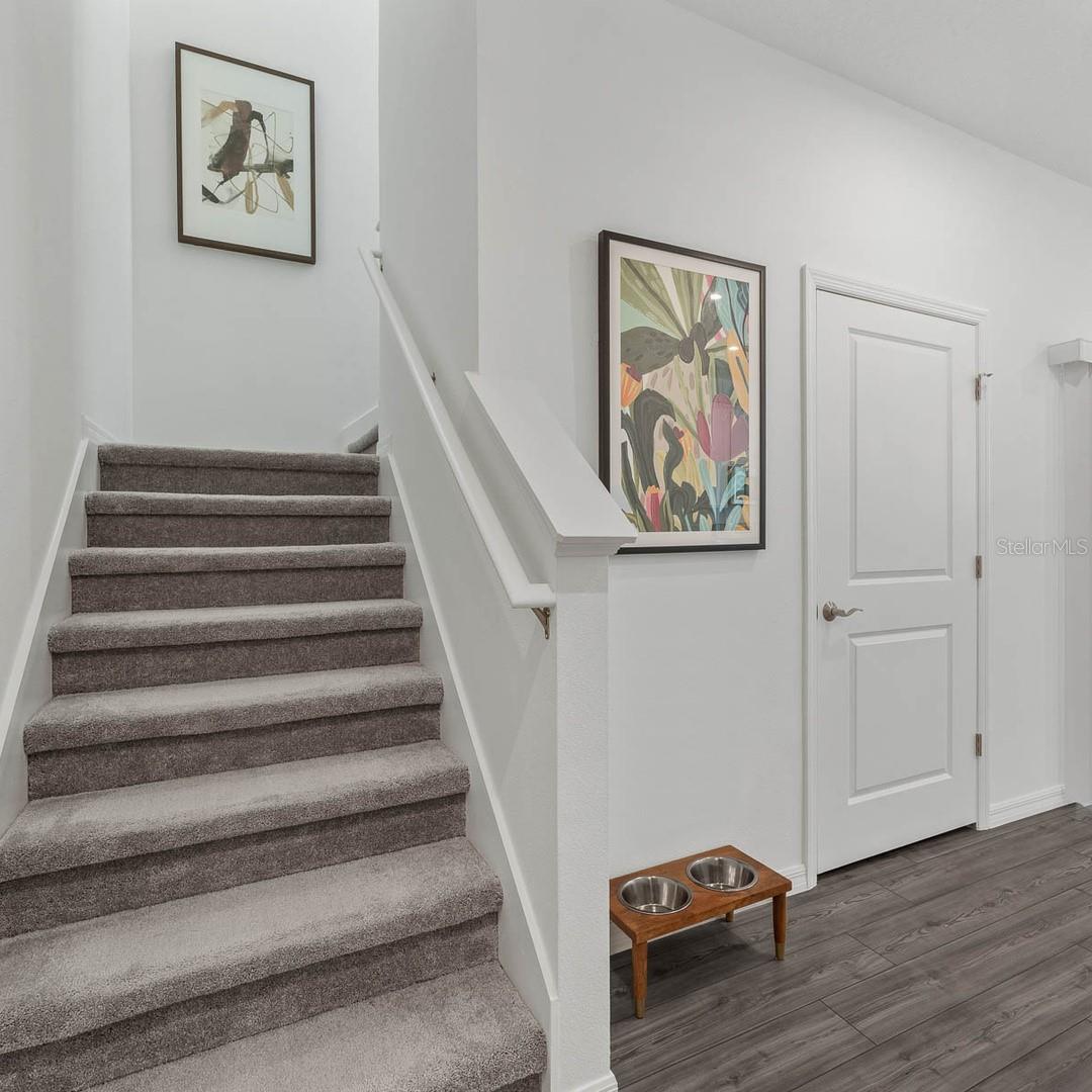 4698 INNER WORLD LN, WESLEY CHAPEL, FL, 33543