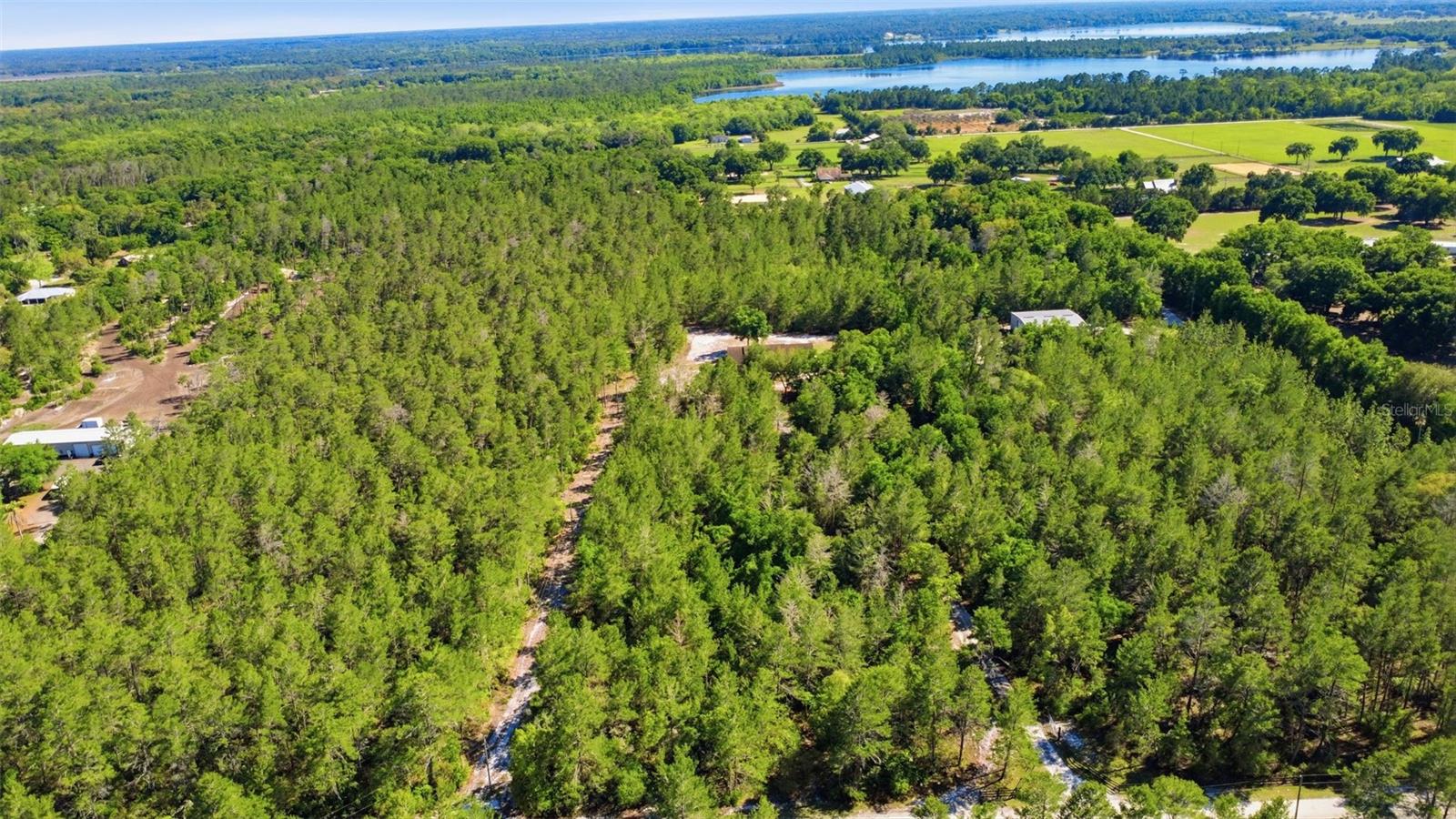 1640 RED DOG RD, DE LEON SPRINGS, FL, 32130