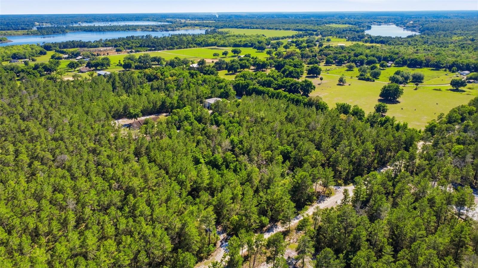 1640 RED DOG RD, DE LEON SPRINGS, FL, 32130