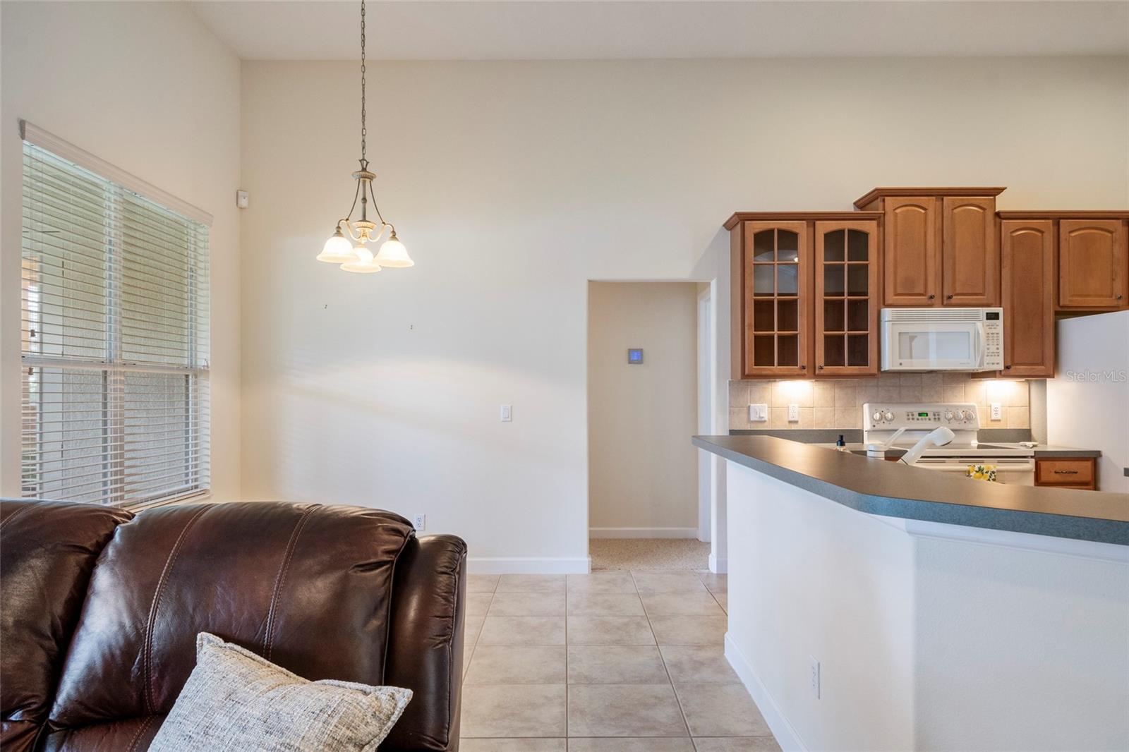 10060 CHARDONNAY DR, ORLANDO, FL, 32832