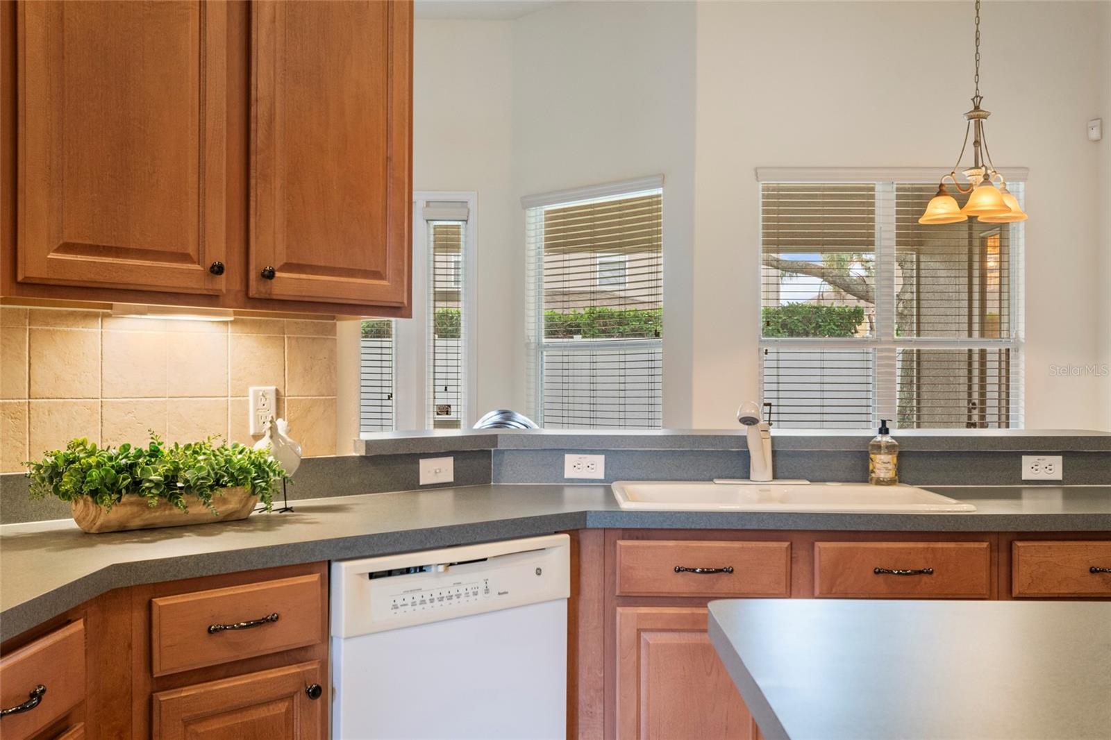 10060 CHARDONNAY DR, ORLANDO, FL, 32832