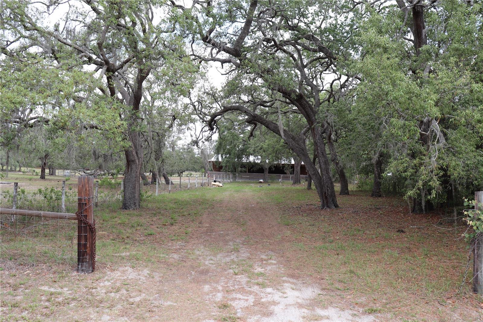 14405 AMY LN, HUDSON, FL, 34669