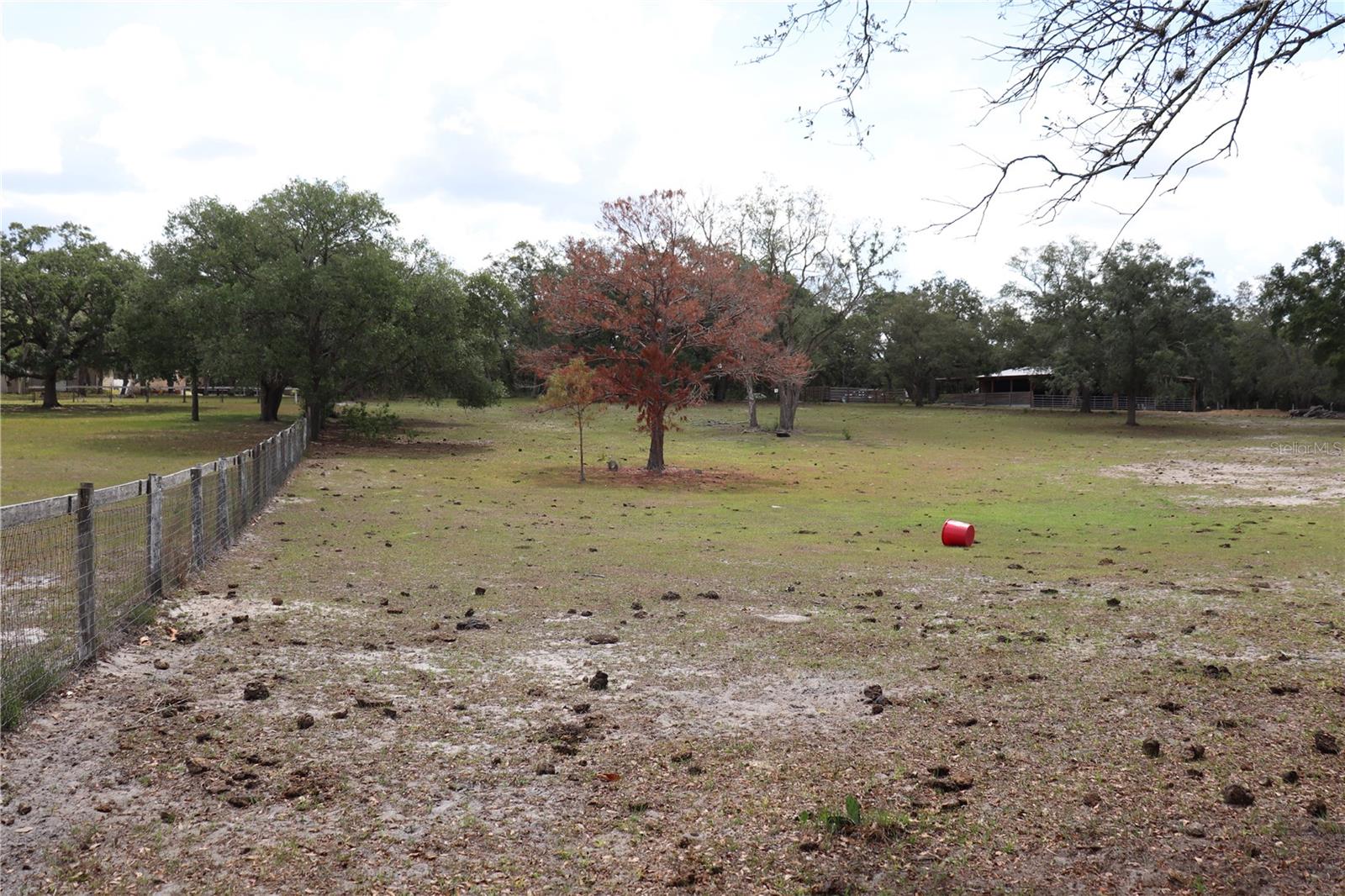 14405 AMY LN, HUDSON, FL, 34669