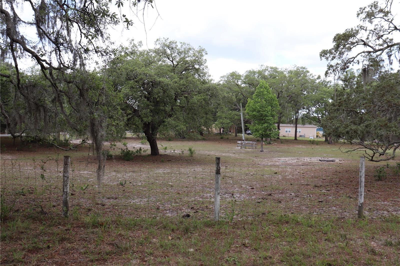14405 AMY LN, HUDSON, FL, 34669