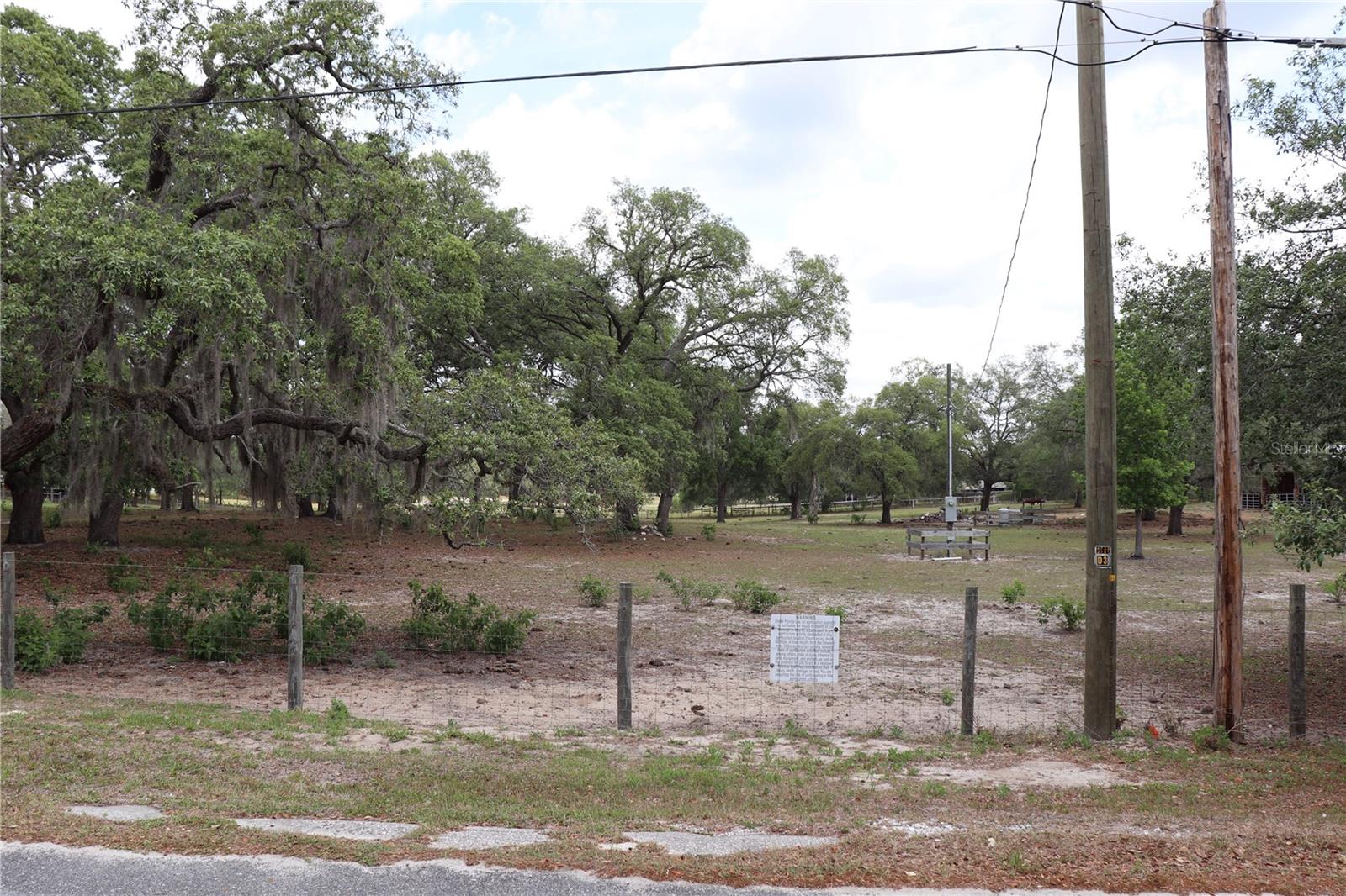 14405 AMY LN, HUDSON, FL, 34669