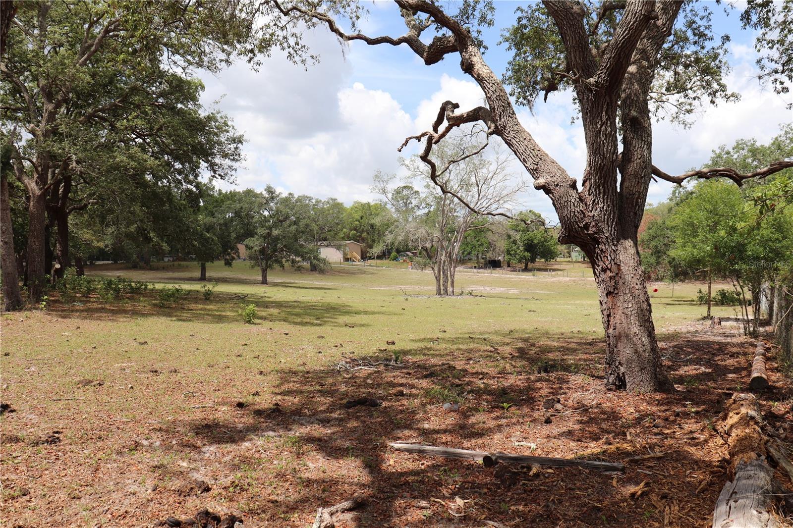 14405 AMY LN, HUDSON, FL, 34669