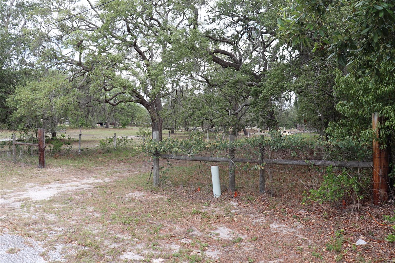 14405 AMY LN, HUDSON, FL, 34669