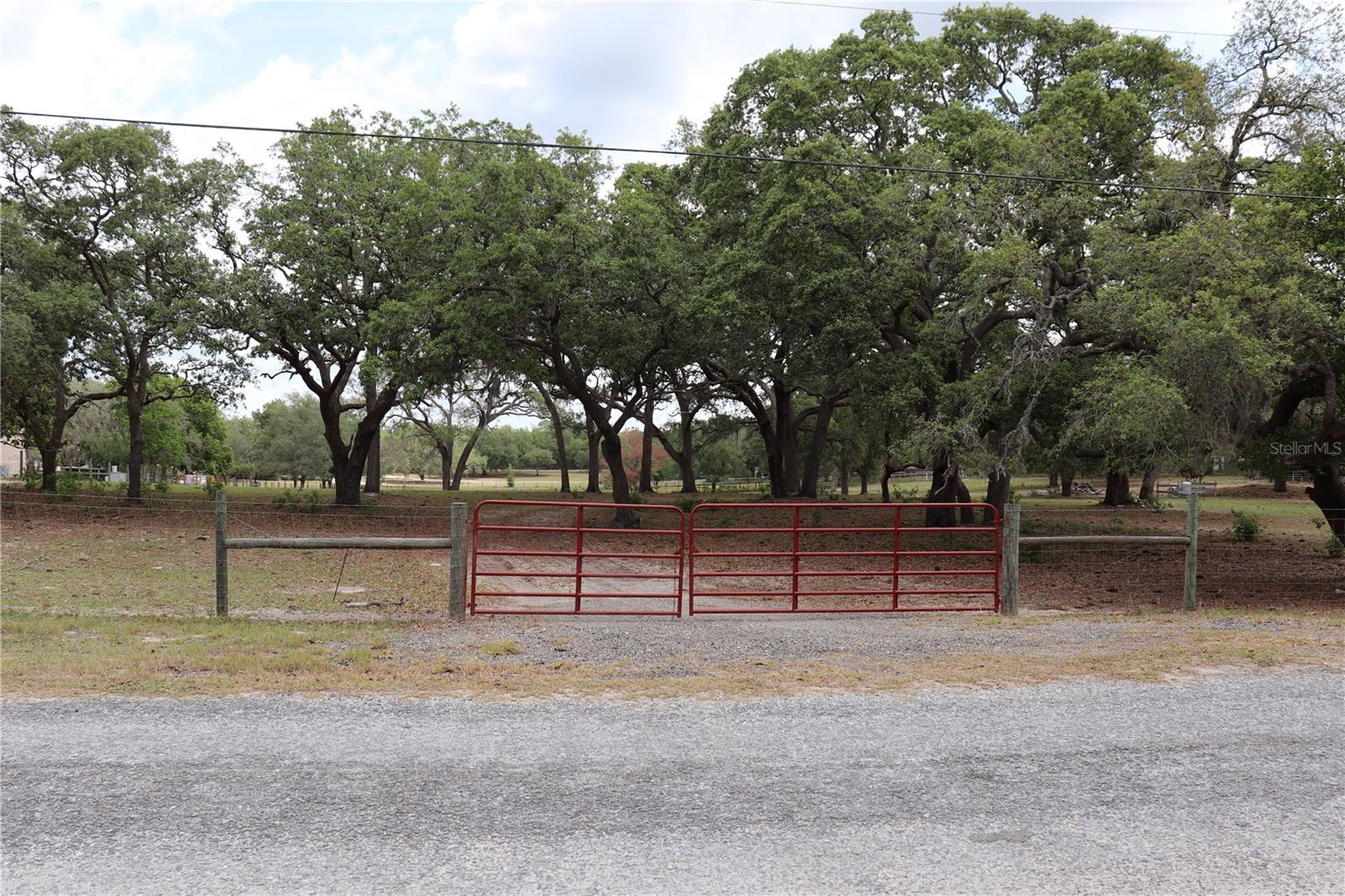 14405 AMY LN, HUDSON, FL, 34669