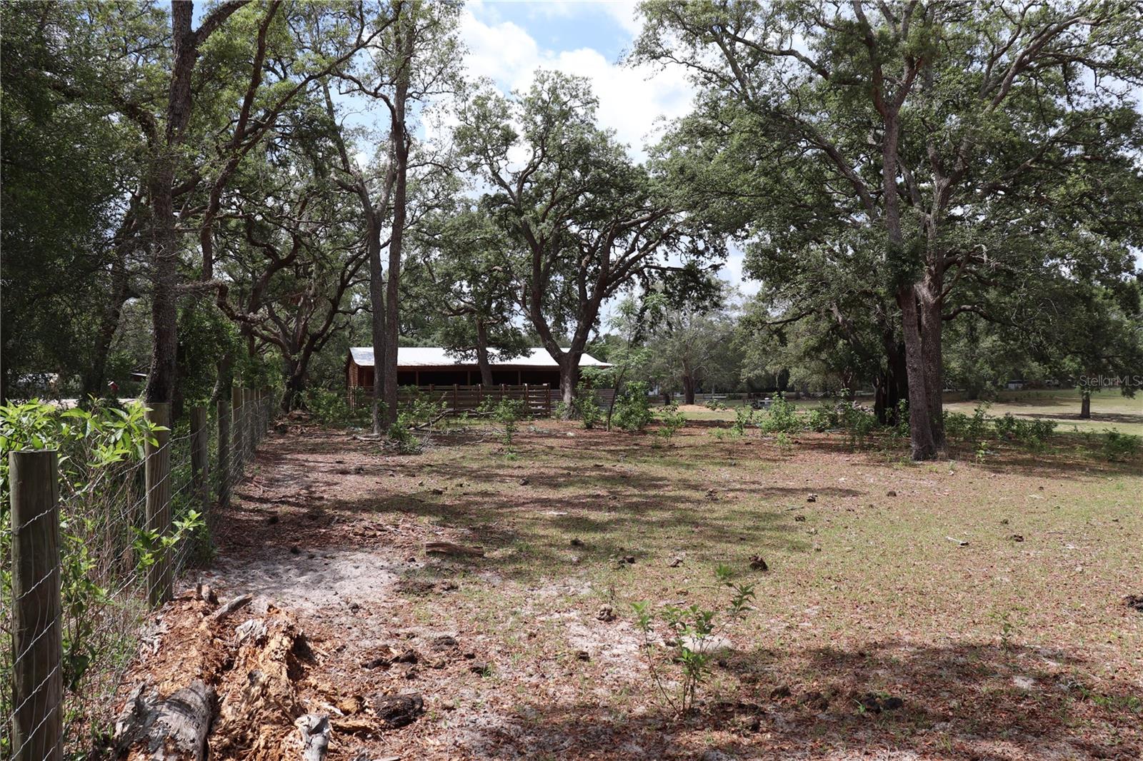 14405 AMY LN, HUDSON, FL, 34669