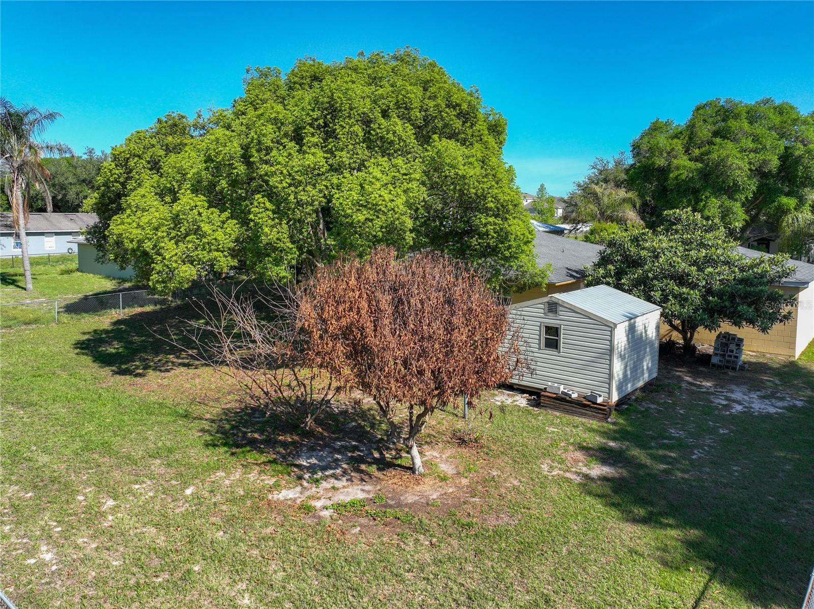 612 PALMETTO DR, MASCOTTE, FL, 34753