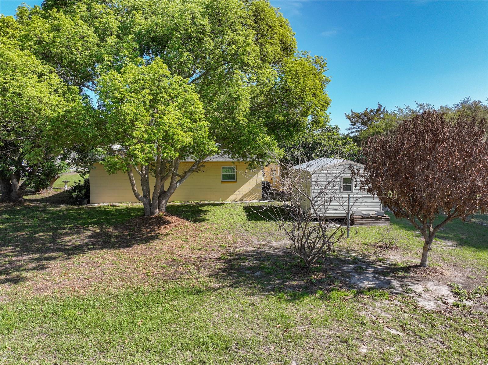 612 PALMETTO DR, MASCOTTE, FL, 34753