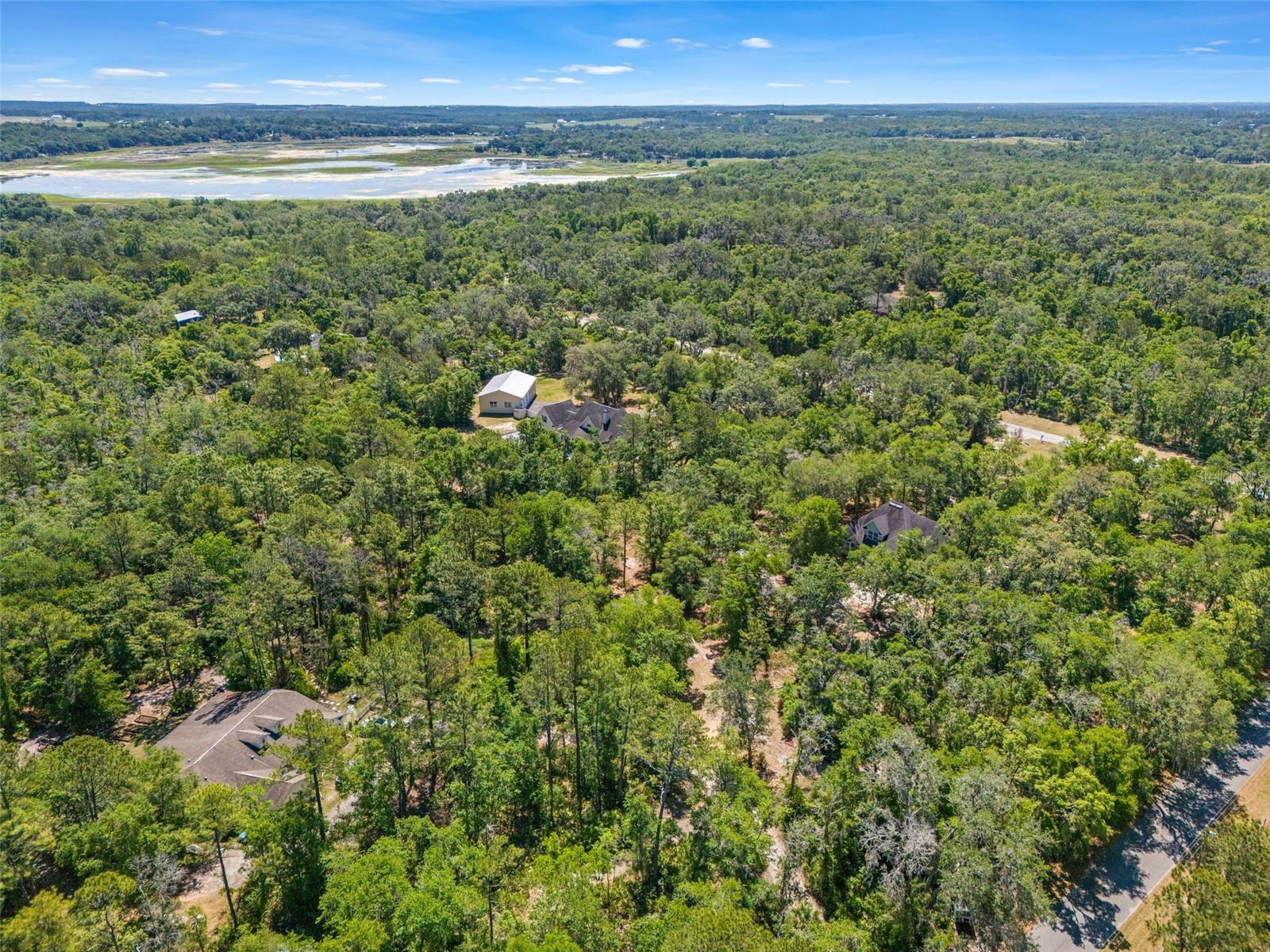 23305 JUNE BUG TRL, BROOKSVILLE, FL, 34602