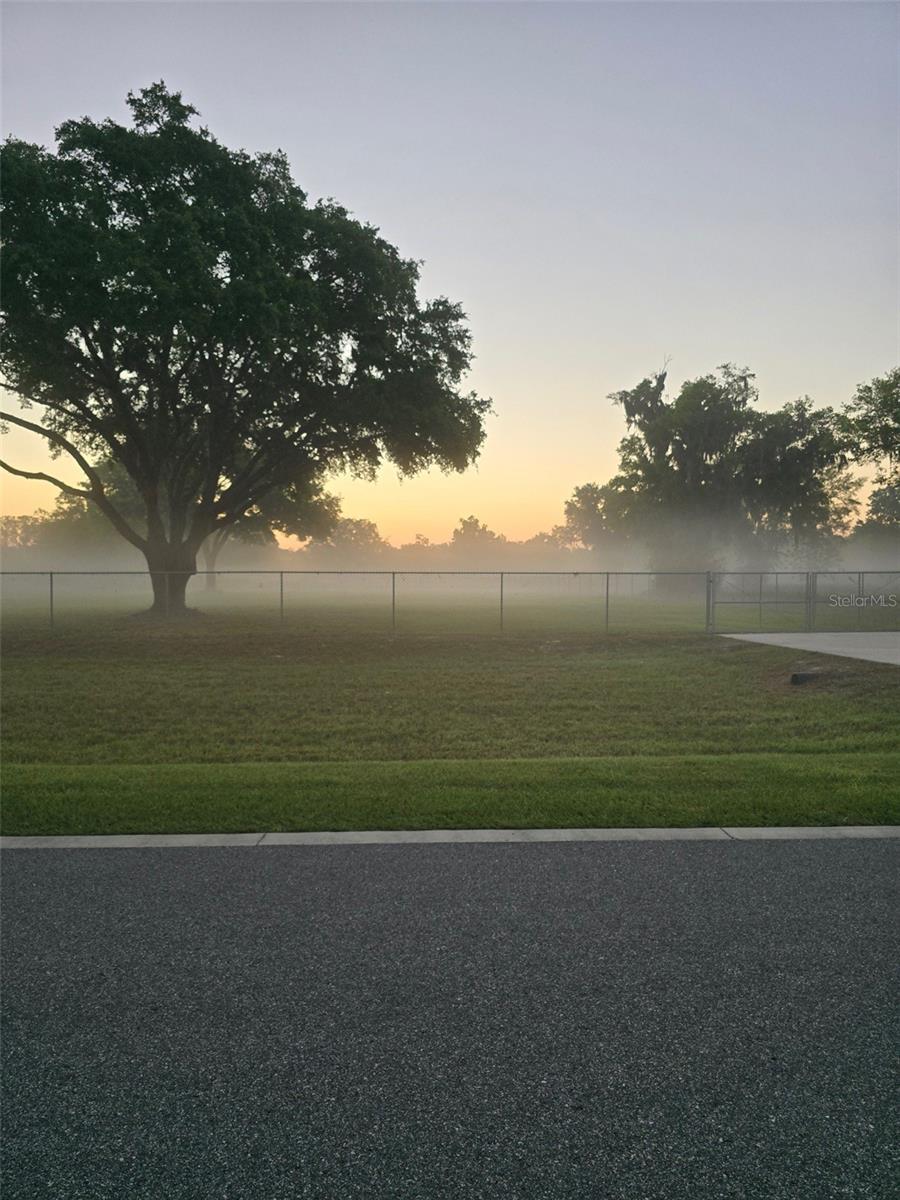 980 DUCK BOX RD, UMATILLA, FL, 32784