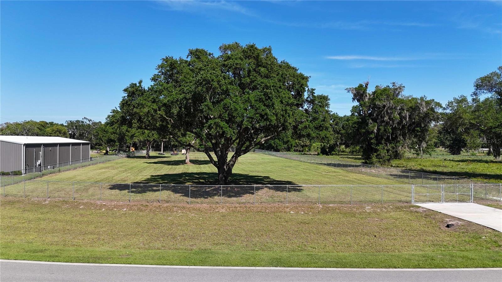 980 DUCK BOX RD, UMATILLA, FL, 32784