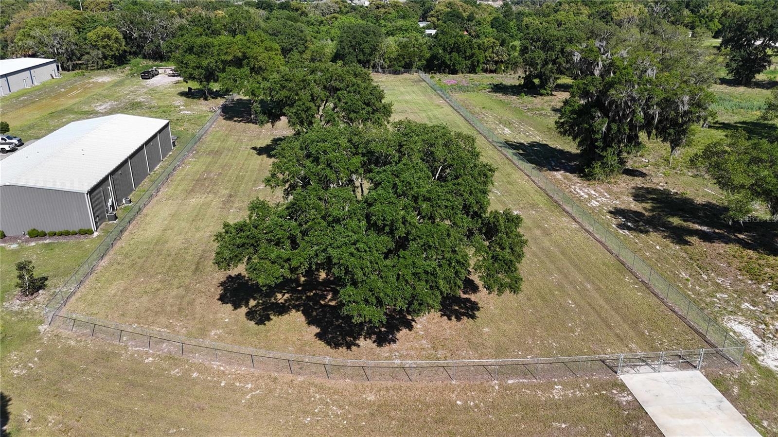 980 DUCK BOX RD, UMATILLA, FL, 32784