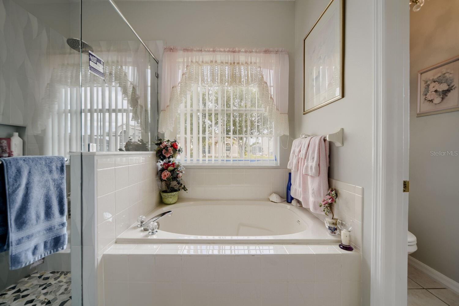 5318 CORAL VINE LN, KISSIMMEE, FL, 34758