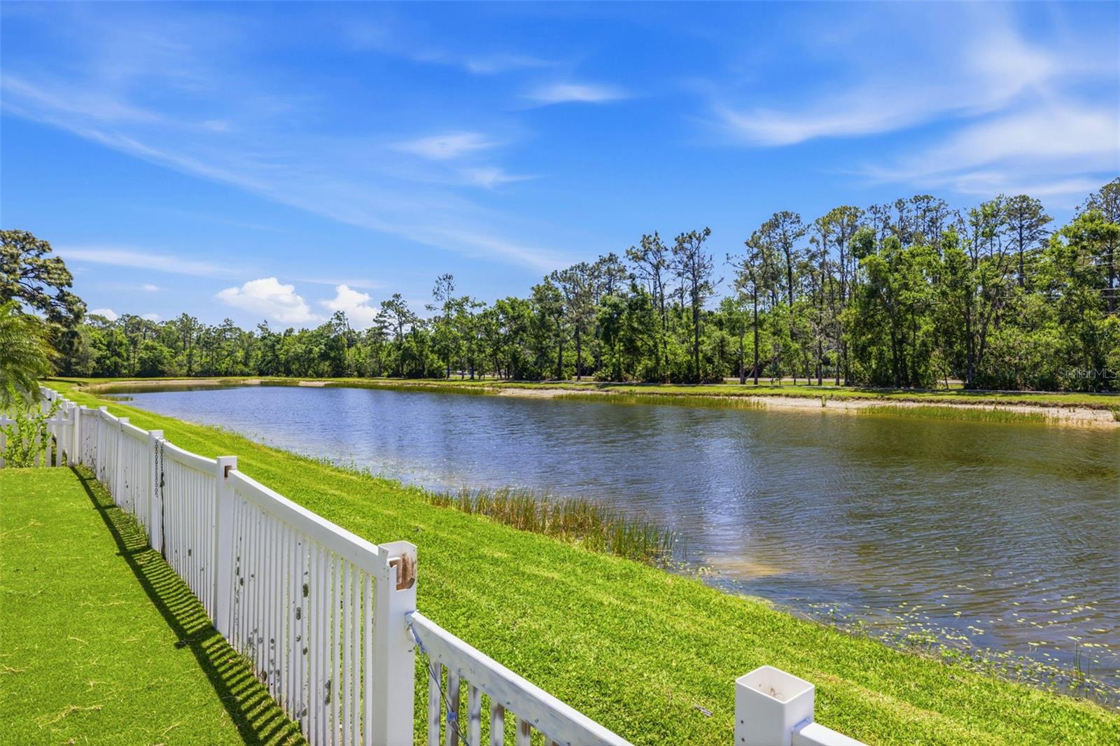 18924 FISHERMANS BEND DR, LUTZ, FL, 33558