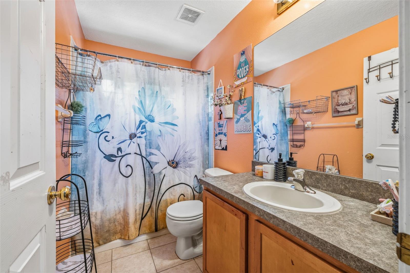 18924 FISHERMANS BEND DR, LUTZ, FL, 33558