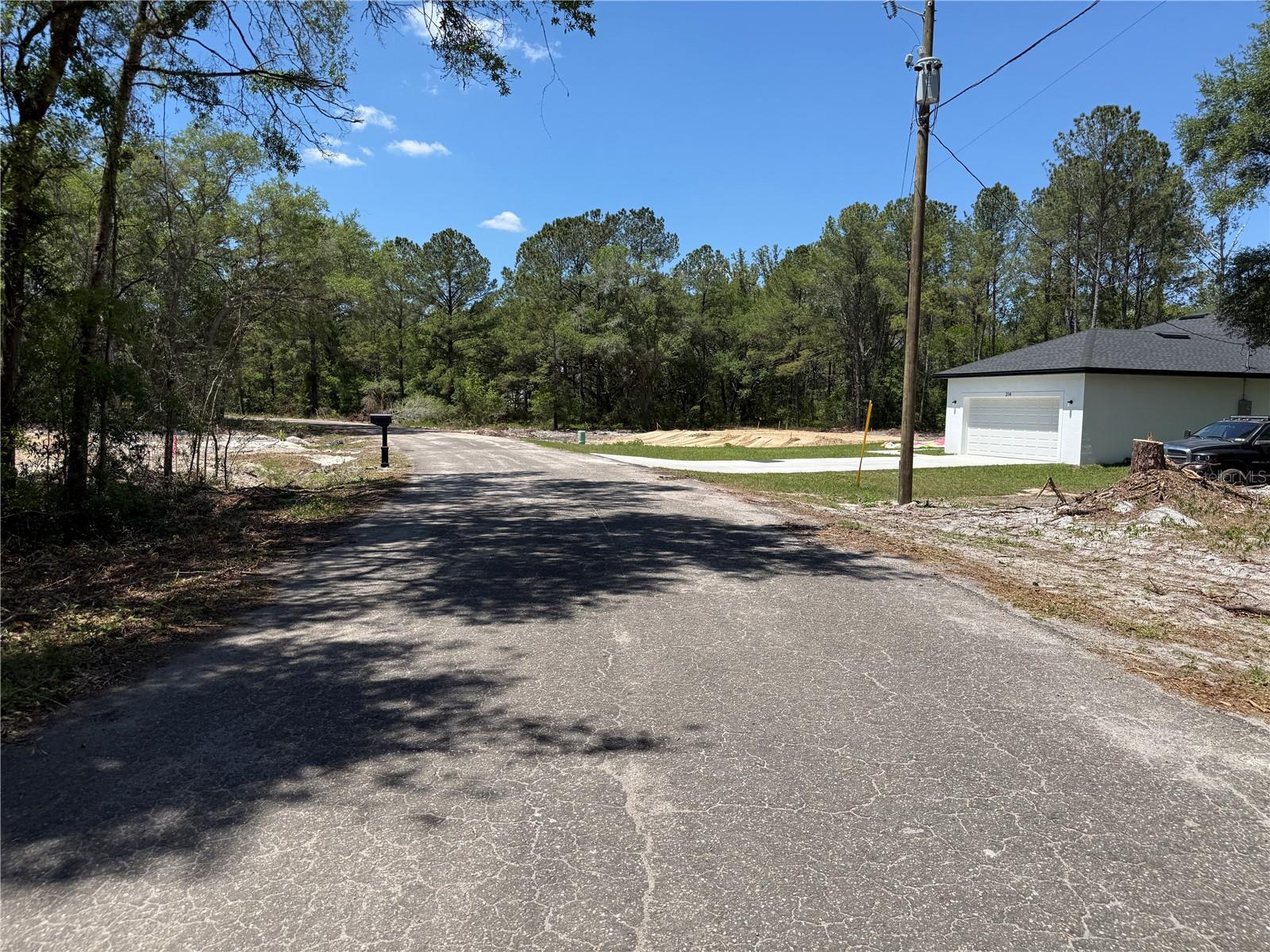 FISCHER LANE CT, OCKLAWAHA, FL, 32179