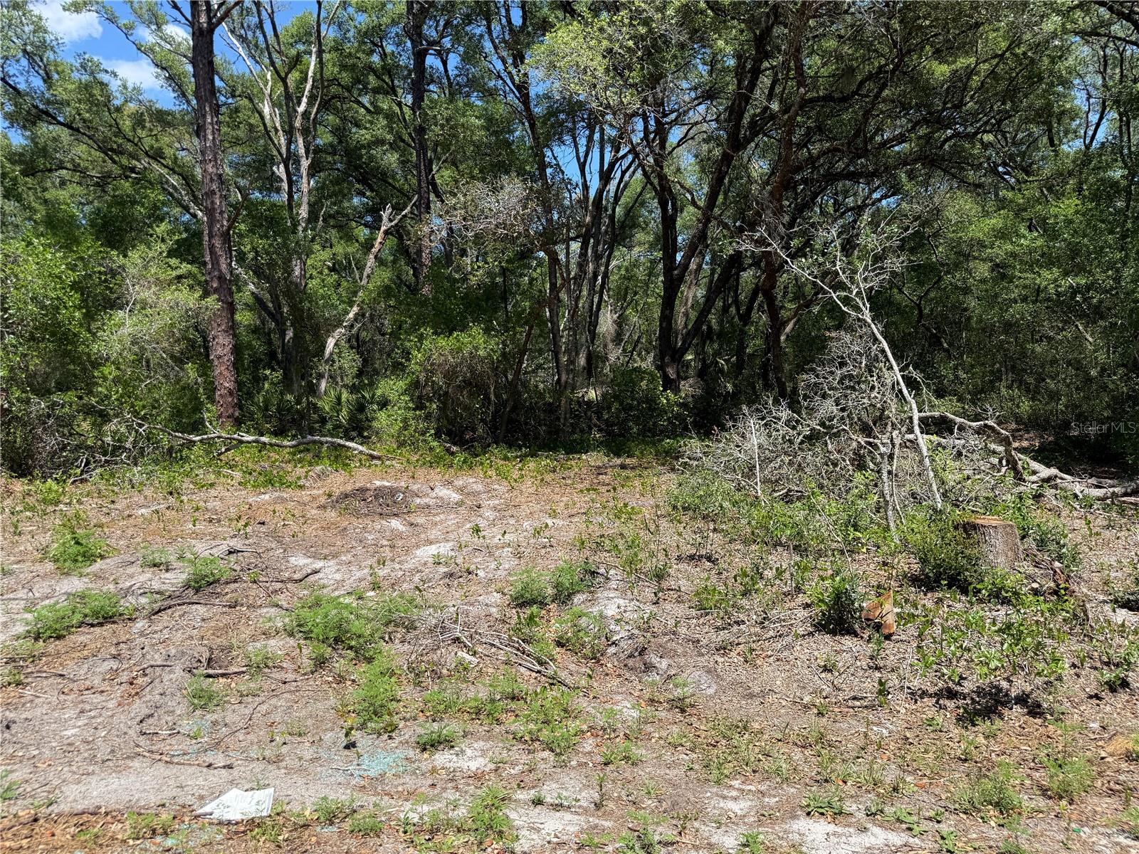 FISCHER LANE CT, OCKLAWAHA, FL, 32179