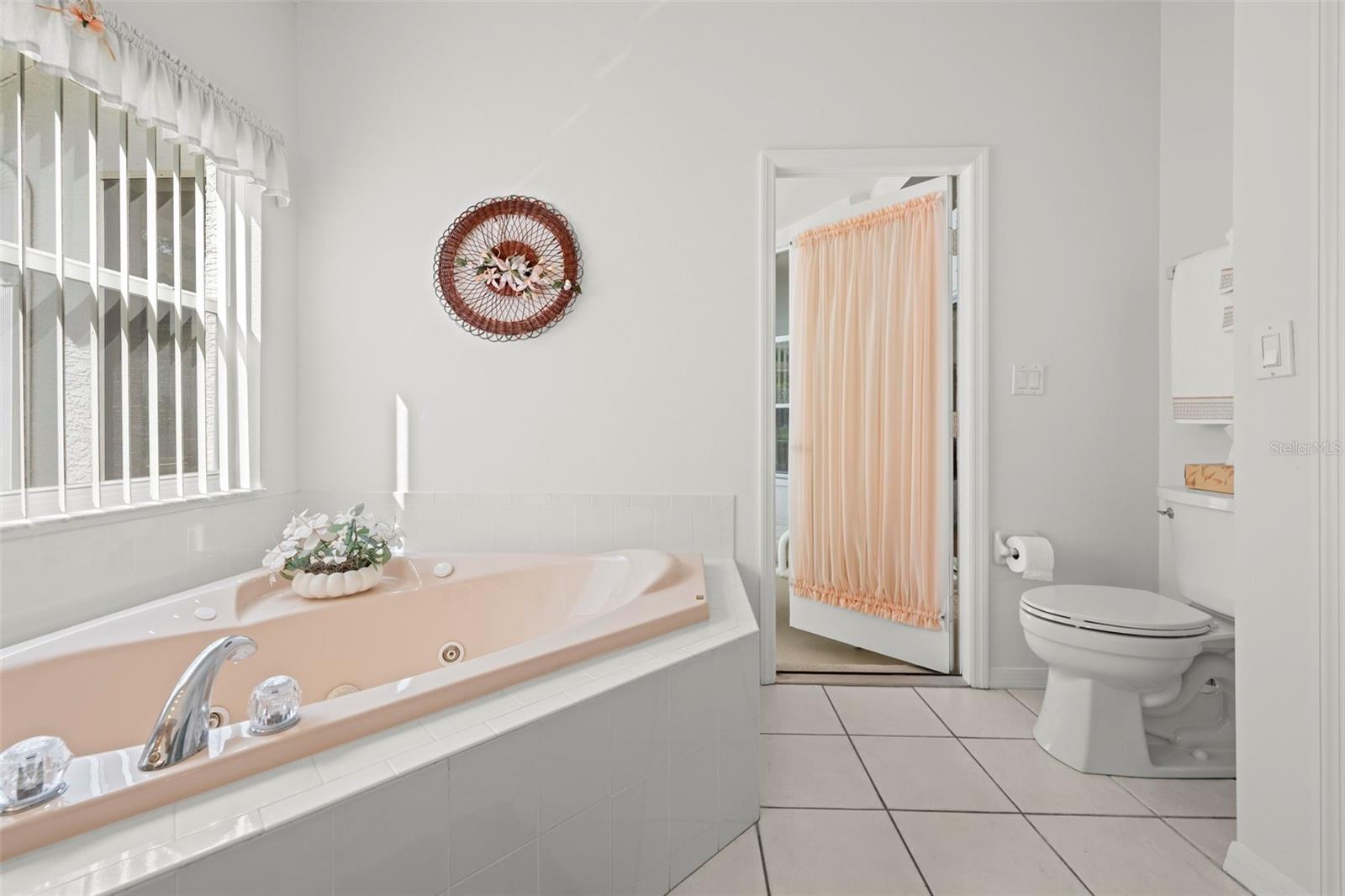 432 MISTWOOD CT, SPRING HILL, FL, 34609