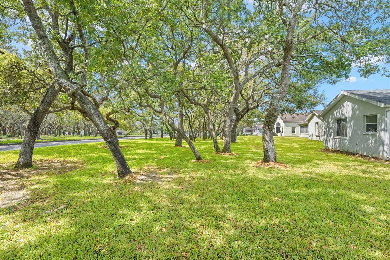 432 MISTWOOD CT, SPRING HILL, FL, 34609