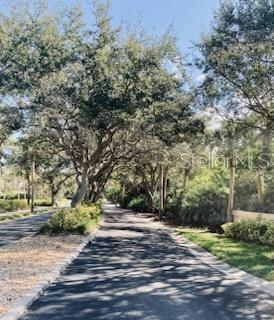250 MINORCA BEACH WAY #203, NEW SMYRNA BEACH, FL, 32169