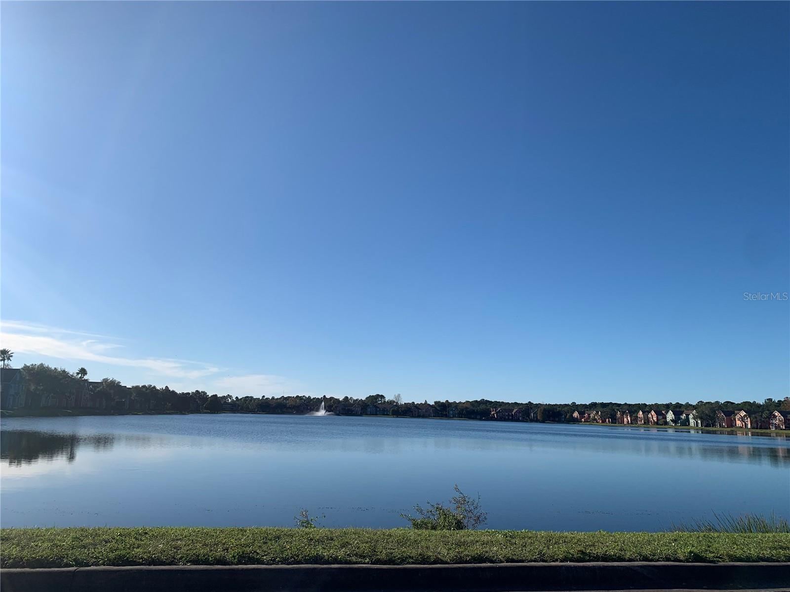 10416 WHITE LAKE CT #10416, TAMPA, FL, 33626