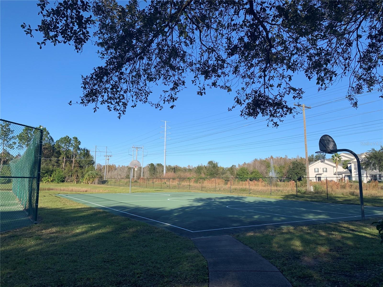 10416 WHITE LAKE CT #10416, TAMPA, FL, 33626