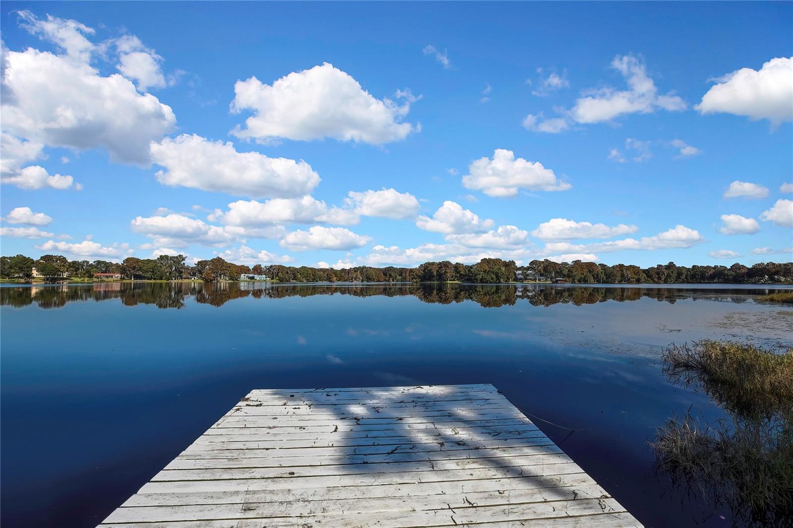 6670 S MERLEING LOOP, FLORAL CITY, FL, 34436