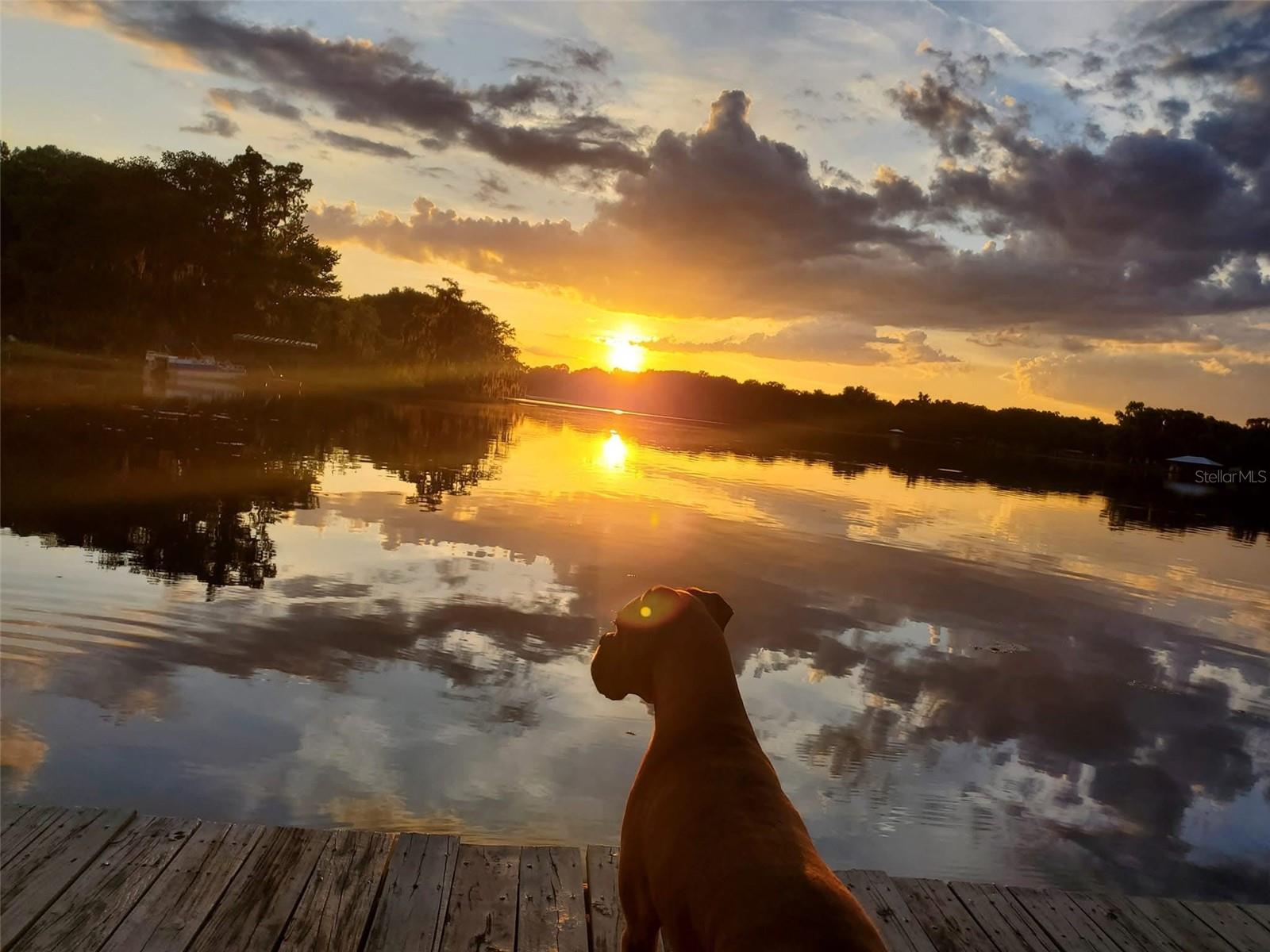 6670 S MERLEING LOOP, FLORAL CITY, FL, 34436