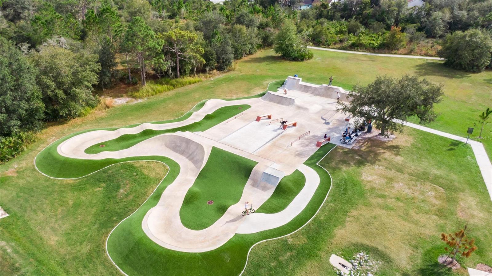 15433 OSPREY GLEN DR, LITHIA, FL, 33547