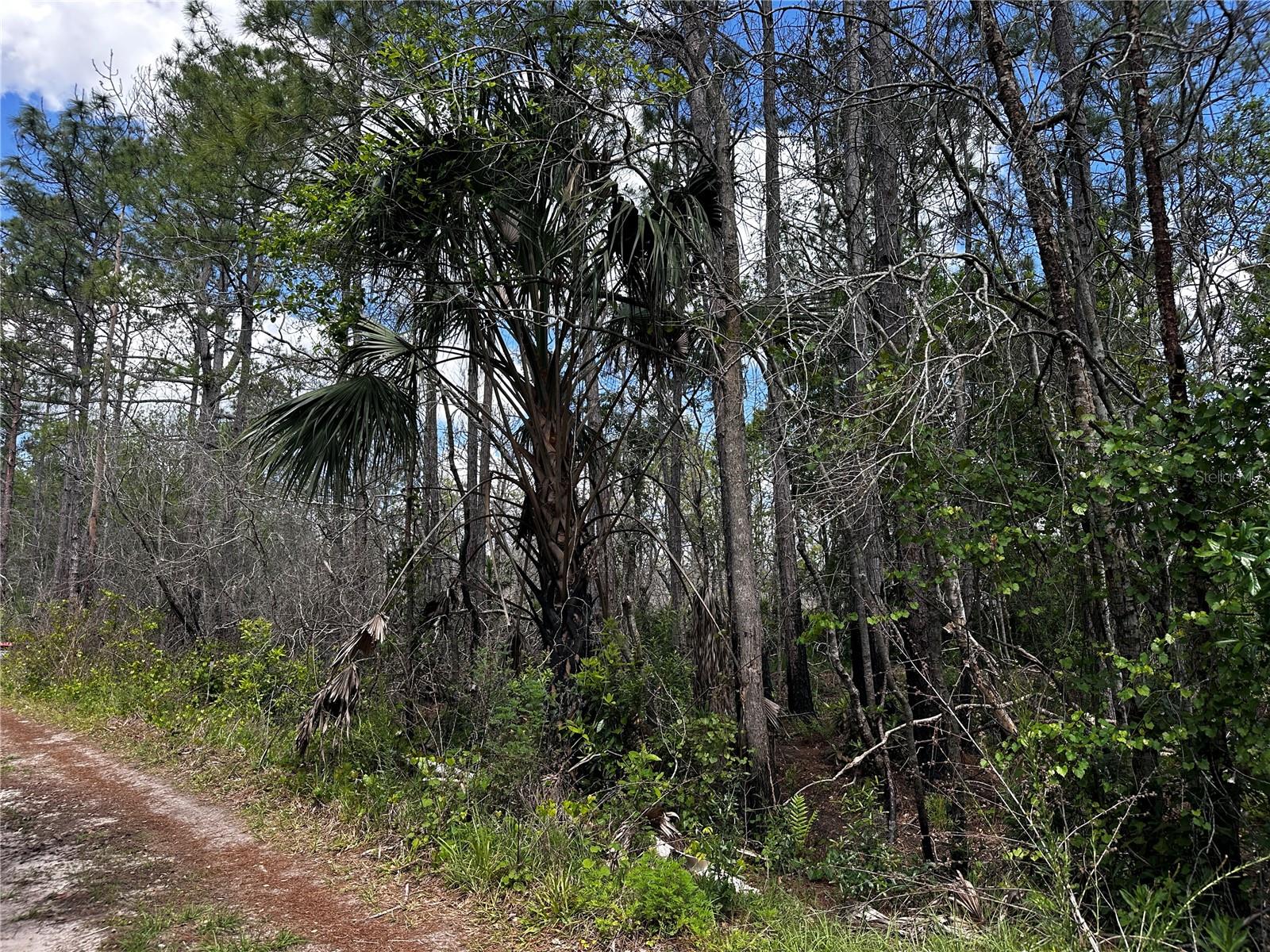 00 KOLA RD, NEW SMYRNA BEACH, FL, 32168