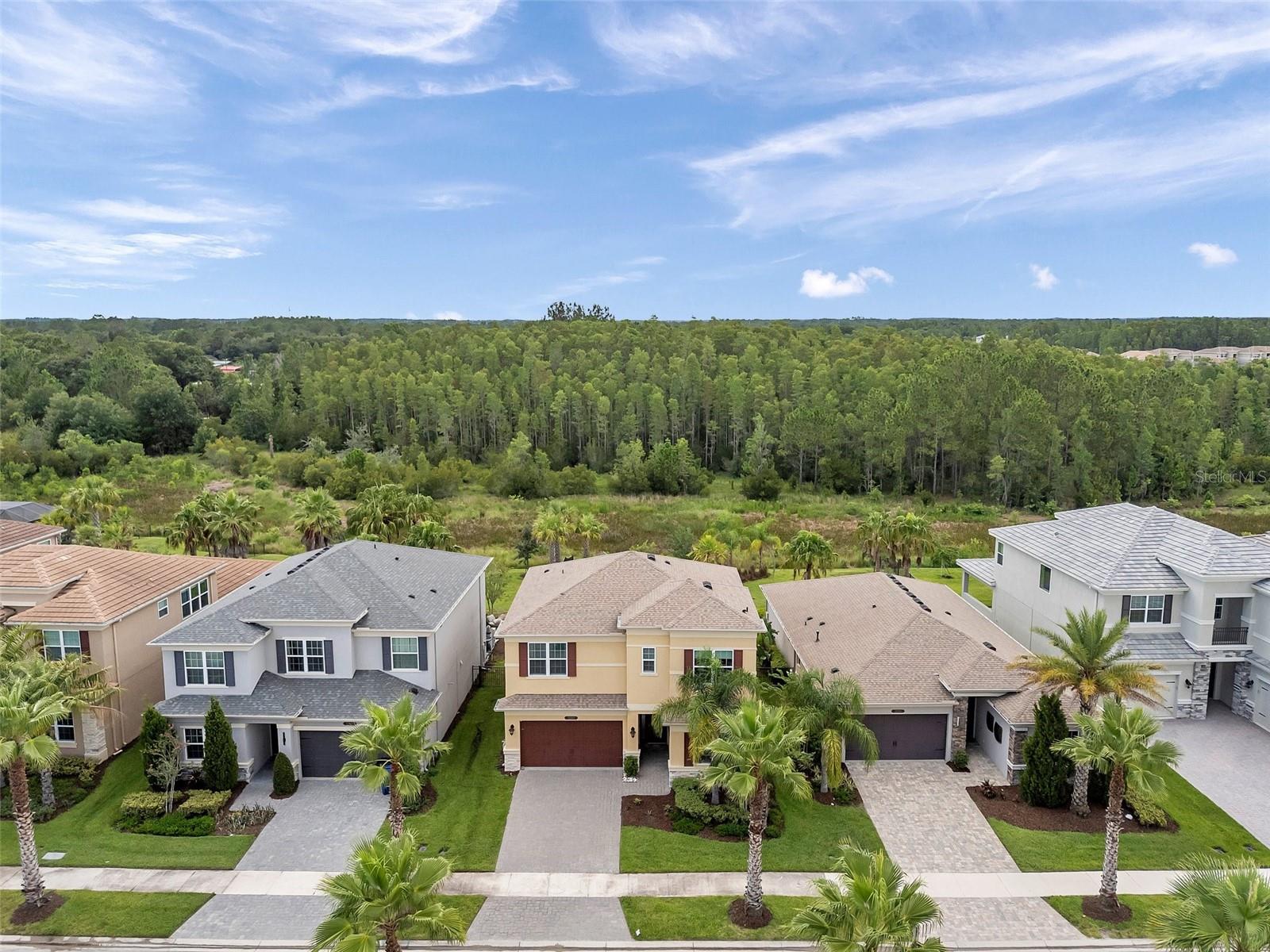 32203 MAHOGANY VALLEY DR, WESLEY CHAPEL, FL, 33543